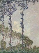 Claude Monet, WInd Effect,Sequence of Poplars